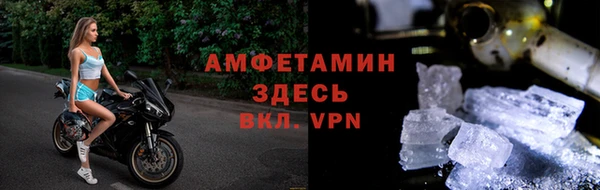 хмурый Губаха