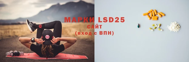 хмурый Губаха