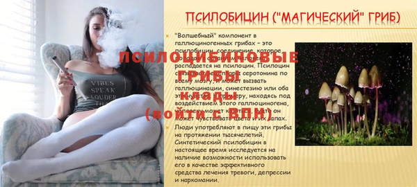 бутират Осташков