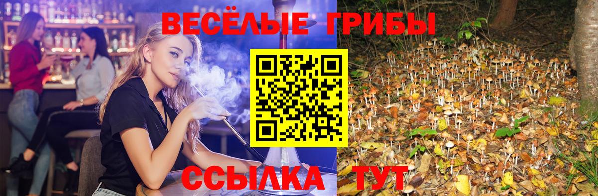 Псилоцибиновые грибы Cubensis Богданович