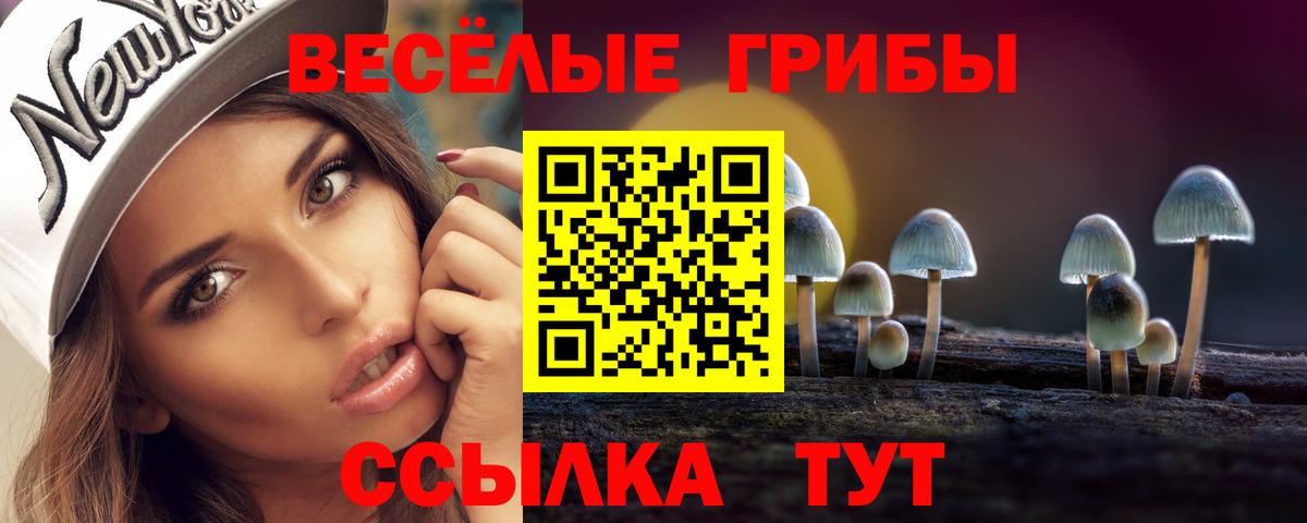 Псилоцибиновые грибы GOLDEN TEACHER  Вход с VPN  Богданович 